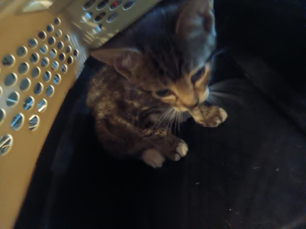 ET's Litter photo 10
