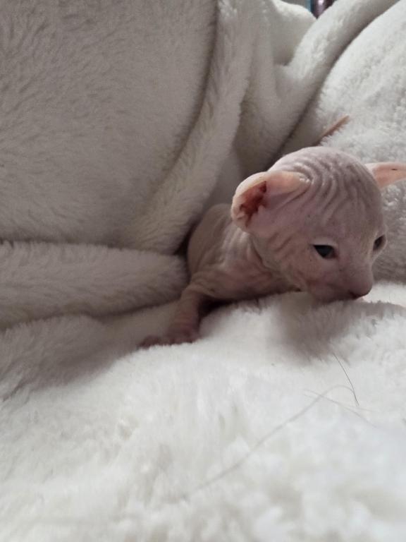 Willows Babies photo 2