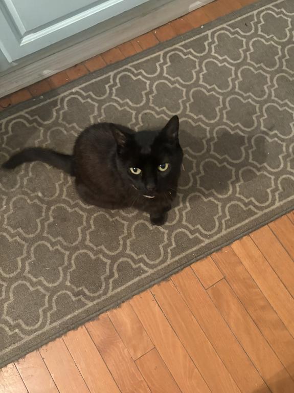Onyx