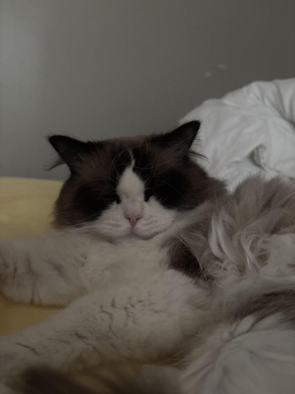 Bob photo 3