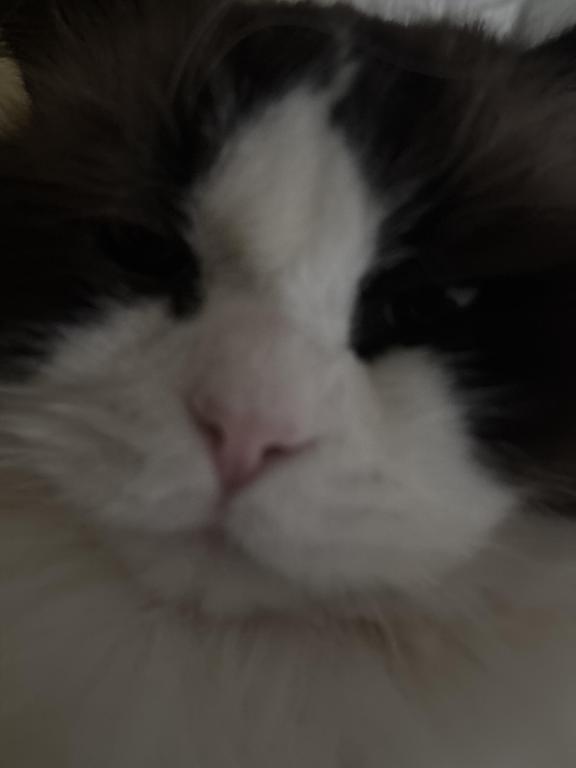 Bob photo 2