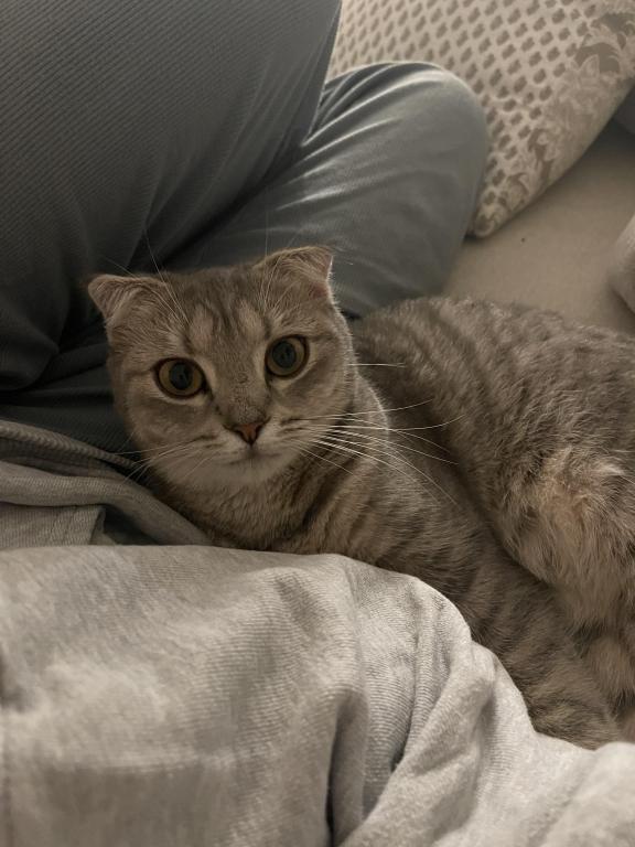 Asya