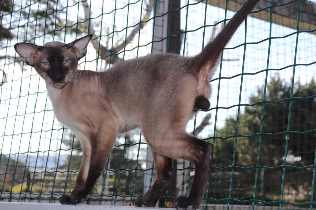 Gavriel Marbleficent photo 7