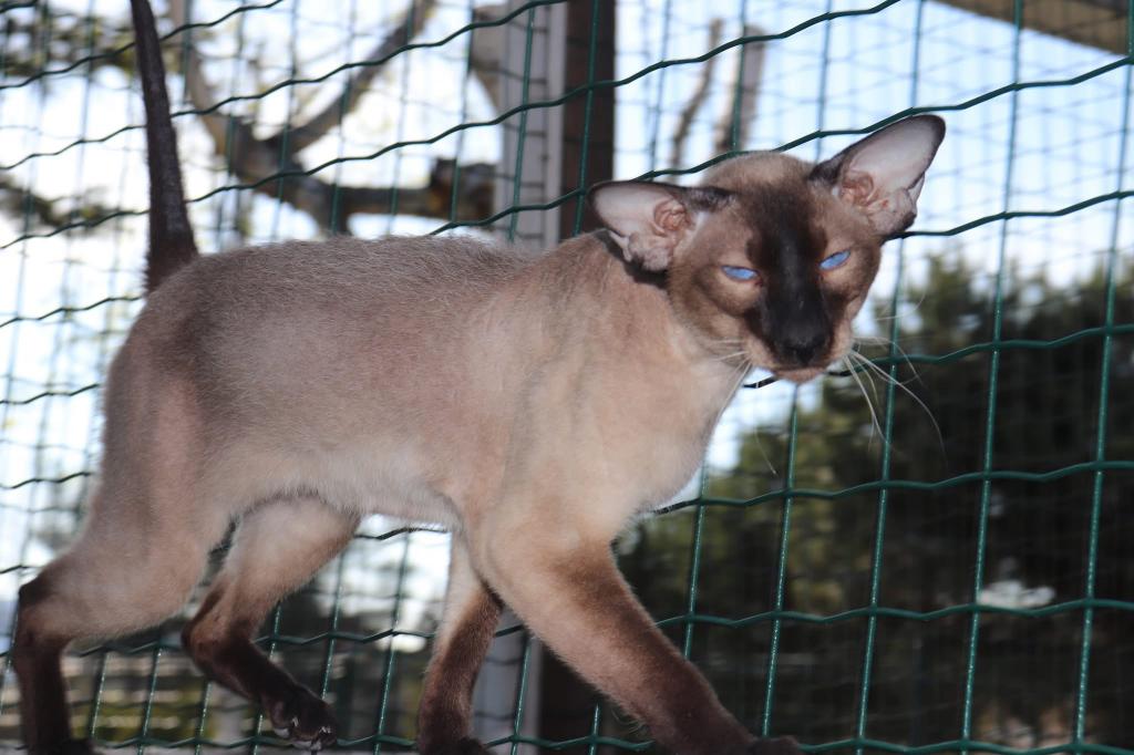 Gavriel Marbleficent photo 6