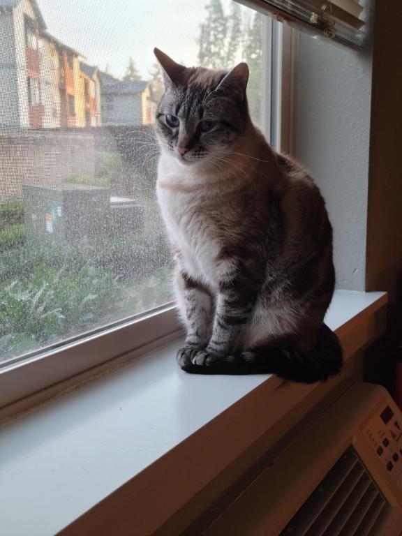 Karma photo 2