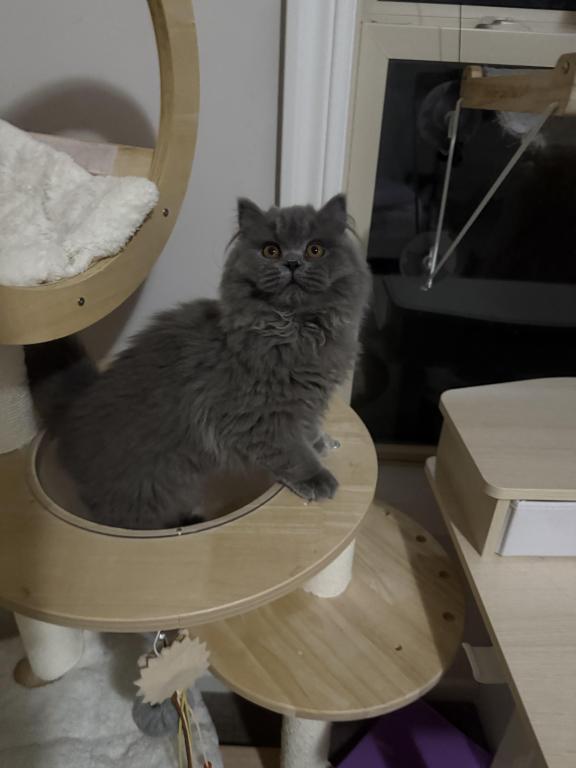 Maru photo 2