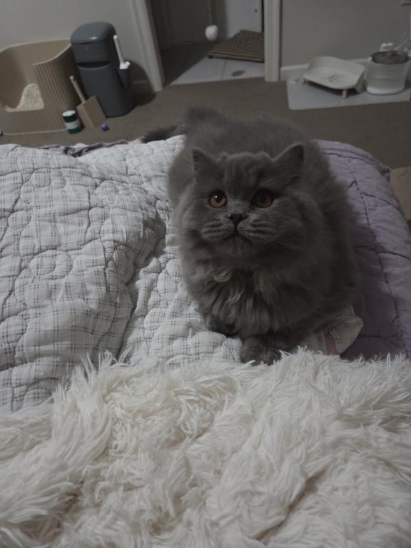 Maru photo 3