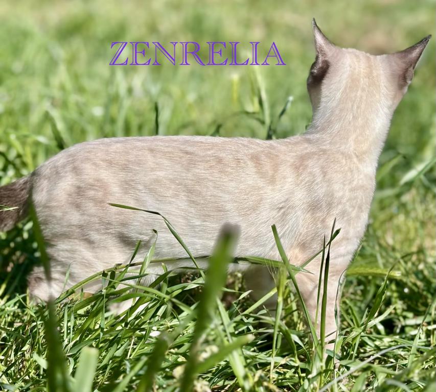 Vet Medicine photo 18