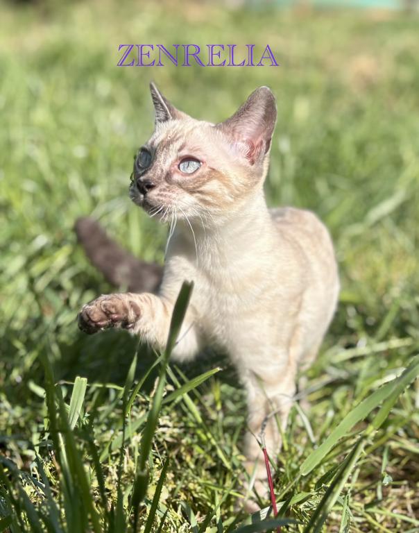 Vet Medicine photo 17