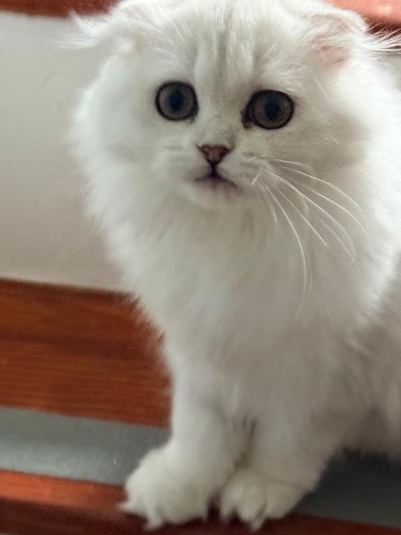 Luna photo 3