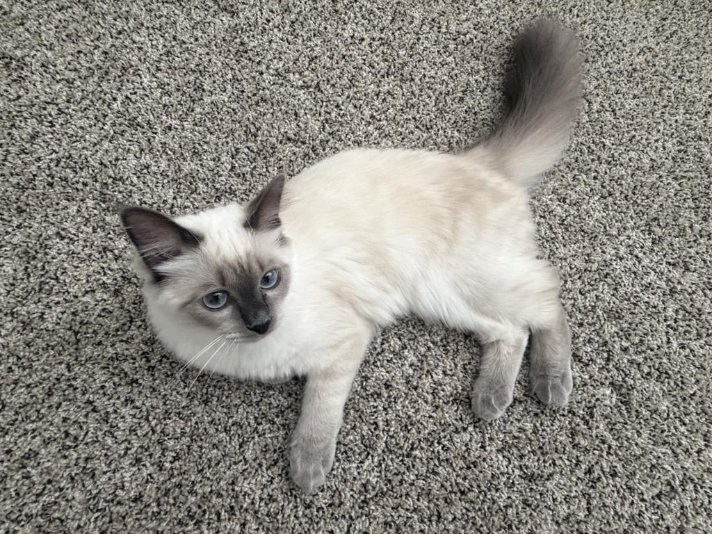 Loky photo 3