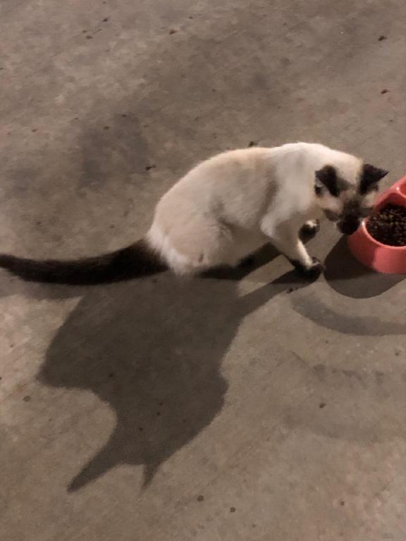 Sayla Bonded With Edward photo 21