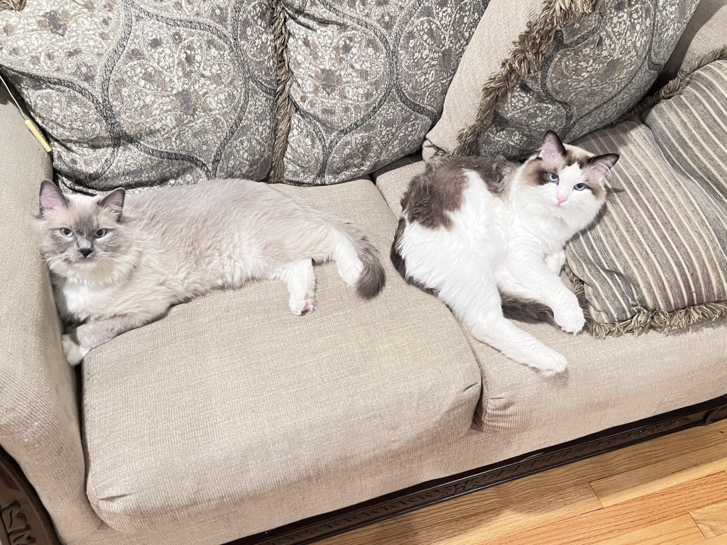 Thor And Loki photo 2