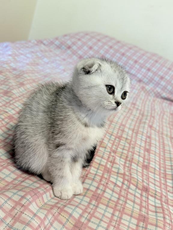 Penelope photo 2