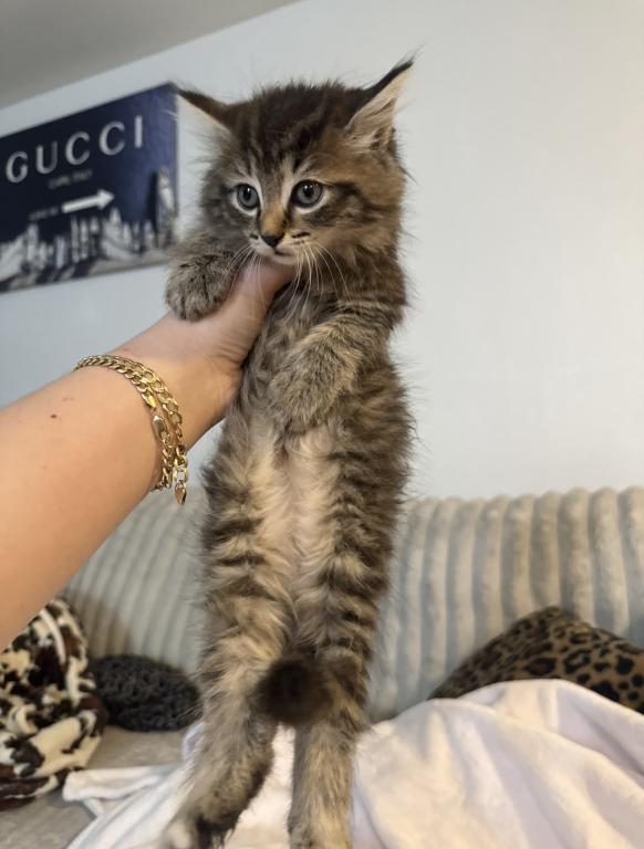 Beautiful Baby