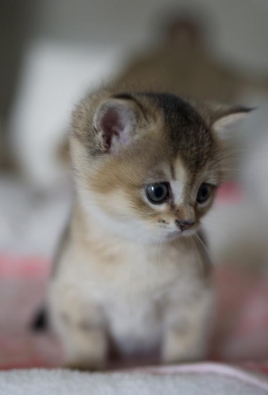 Tiny photo 2