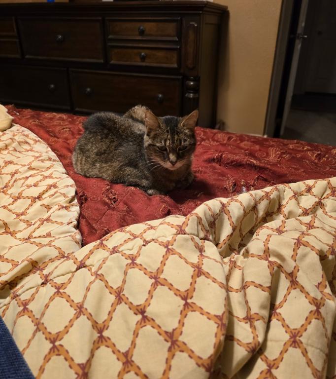 Molly photo 2
