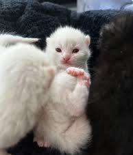 Casper photo 1
