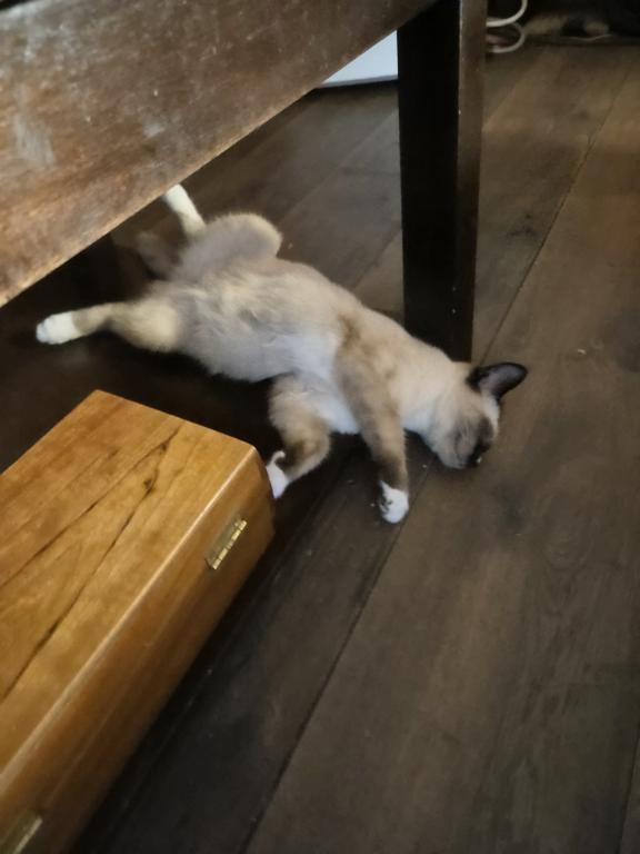Fluffy