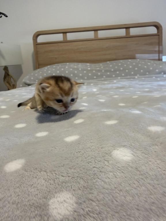 Precious photo 2