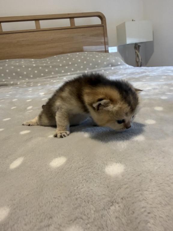 Precious photo 3