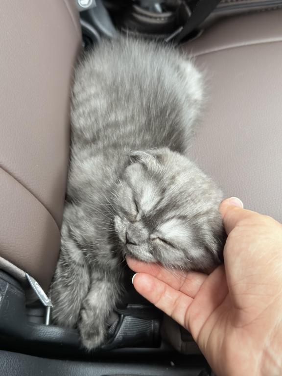 Luna photo 3