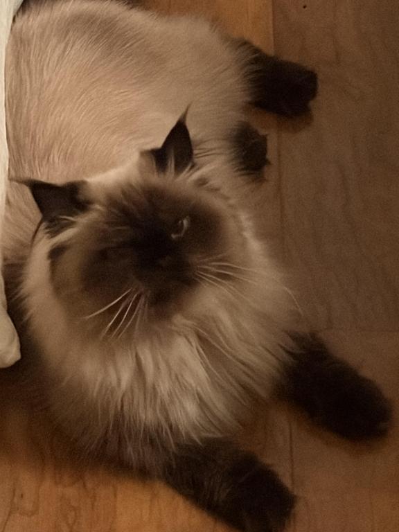 Cecil photo 2