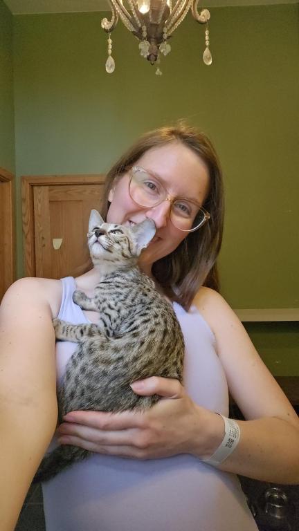 Savannah Kittens Make An Offer photo 1