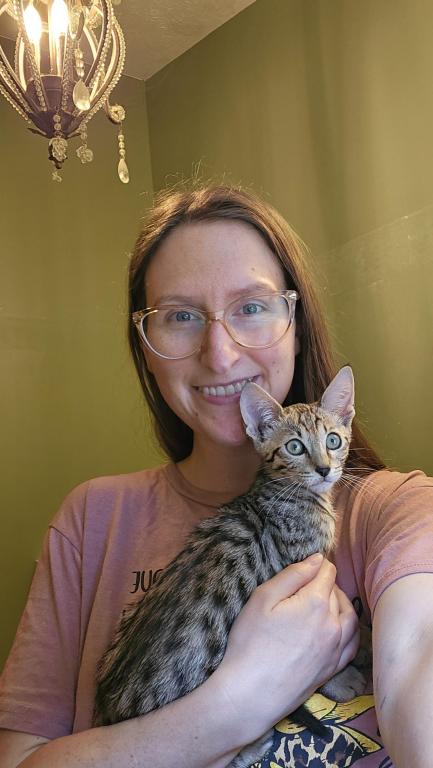 Savannah Kittens photo 5