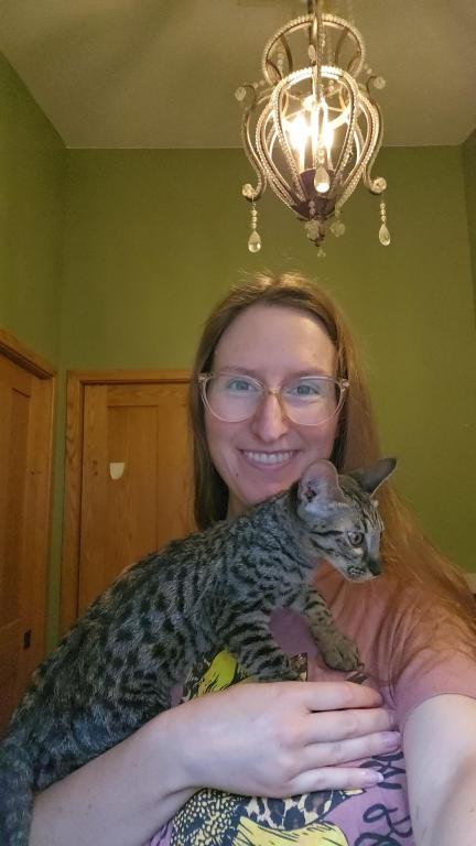 Savannah Kittens photo 4