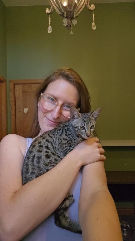 Savannah Kittens photo 6