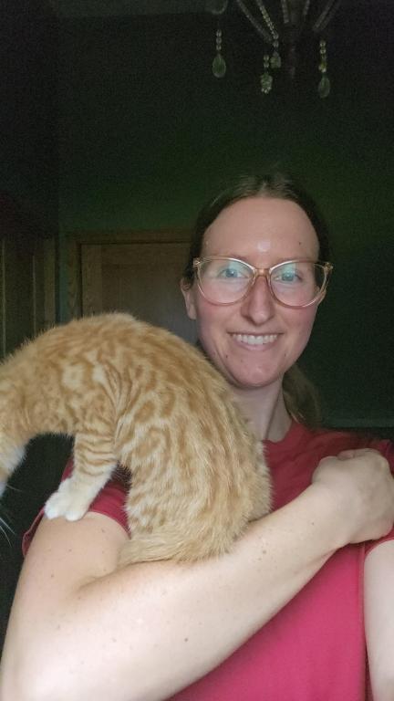 Orange Bengal Male Kitten Rare