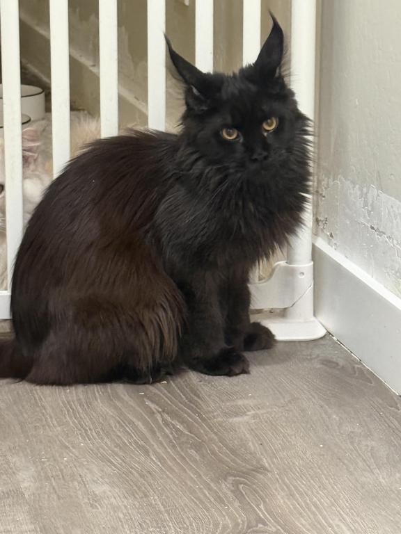 Zuri Make Reasonable Offer