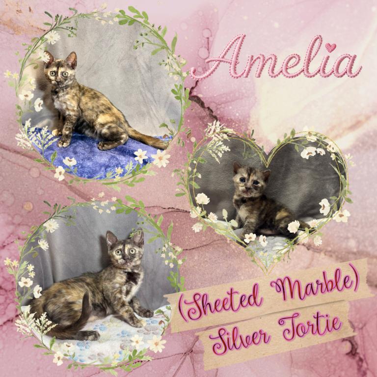 Amelia