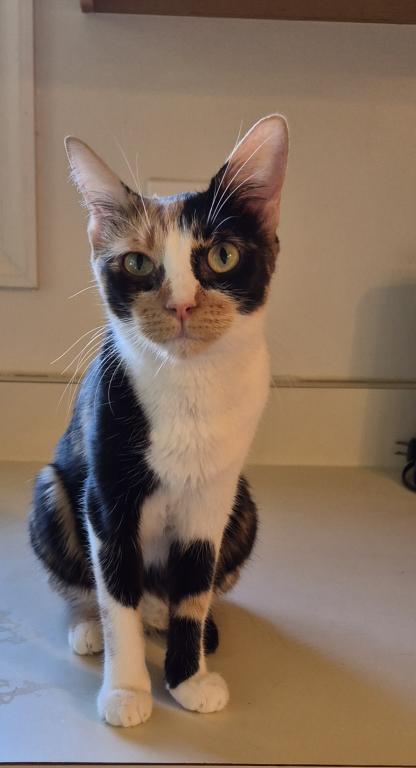 Elvira photo 6