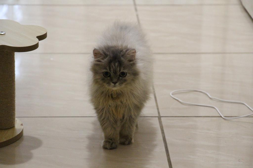 Mimi photo 3