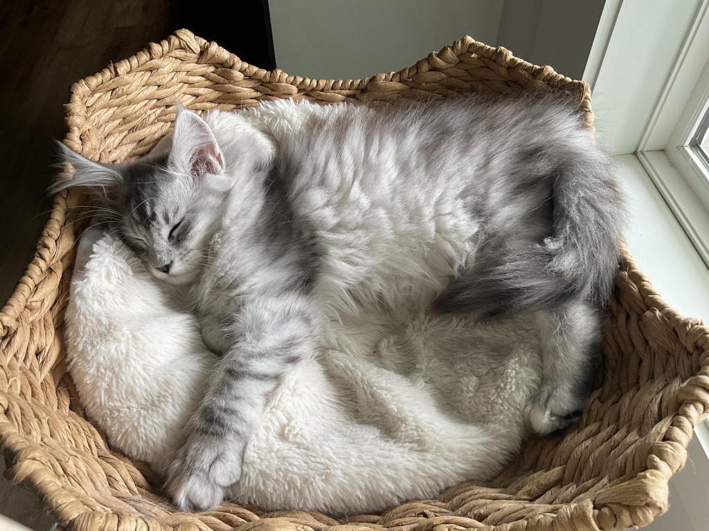 Gwen Of Luna And Emmett photo 1
