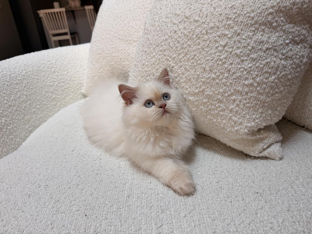 Fiona photo 4