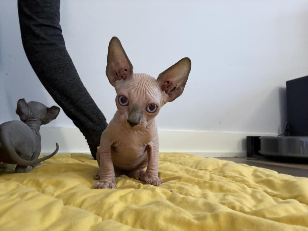 Pinky photo 1