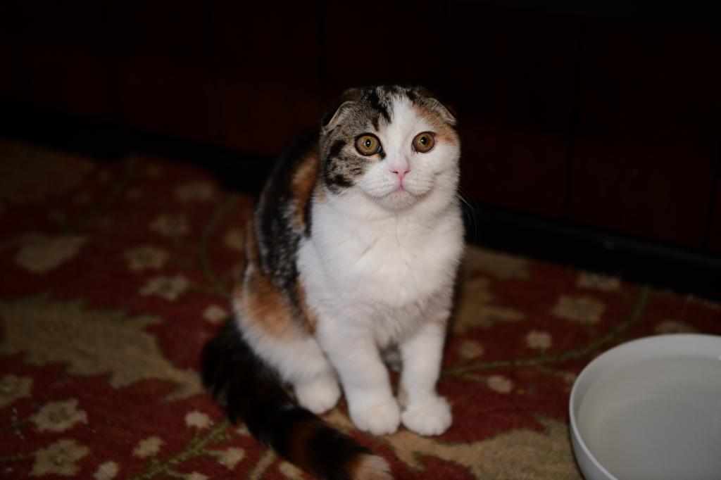 Gianna photo 3