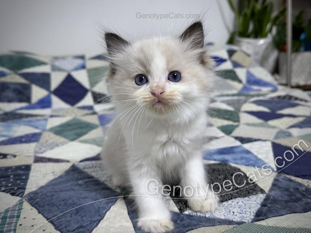 Ernie photo 31