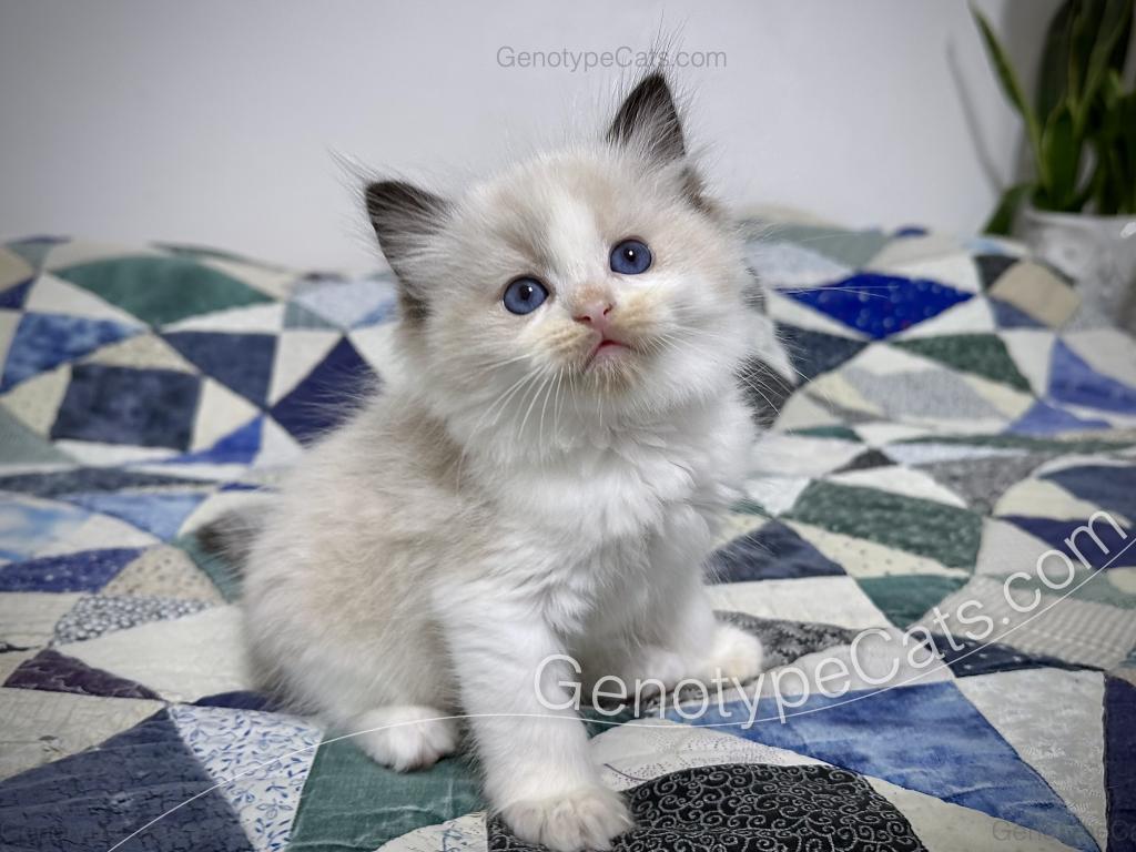 Ernie photo 20