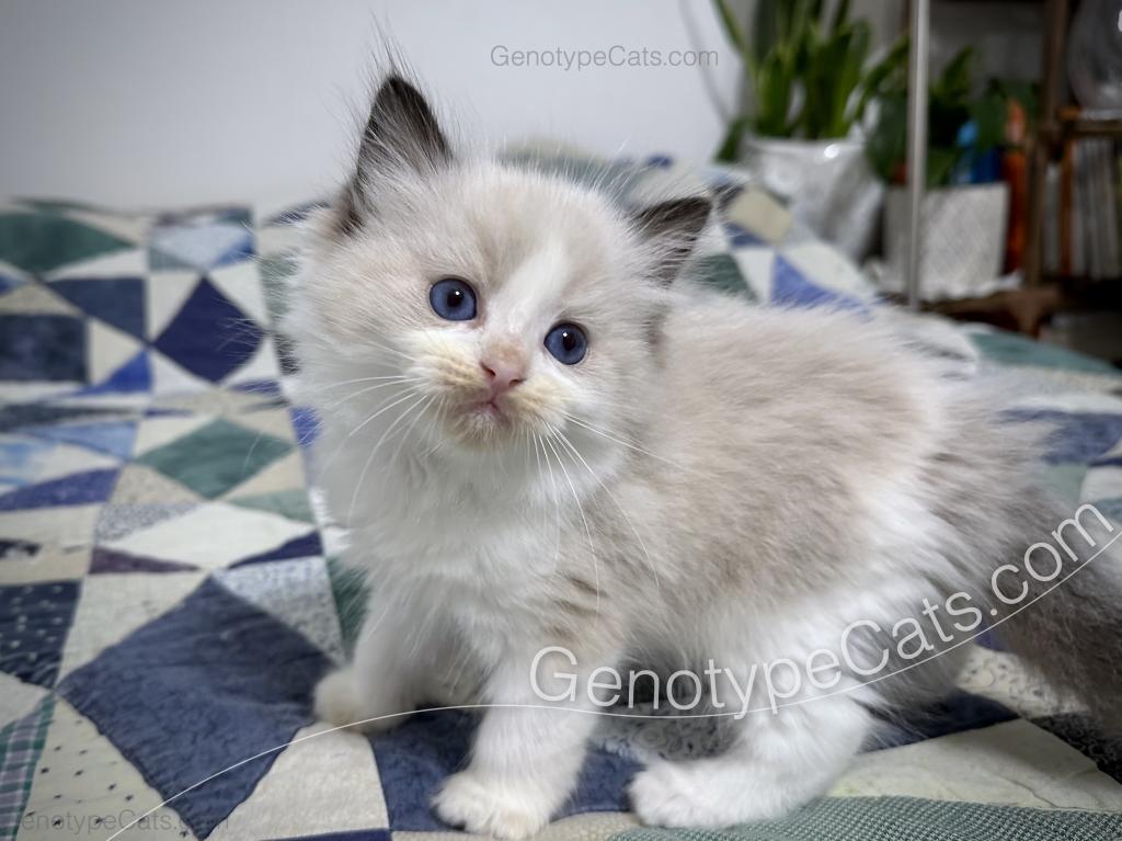 Ernie photo 11
