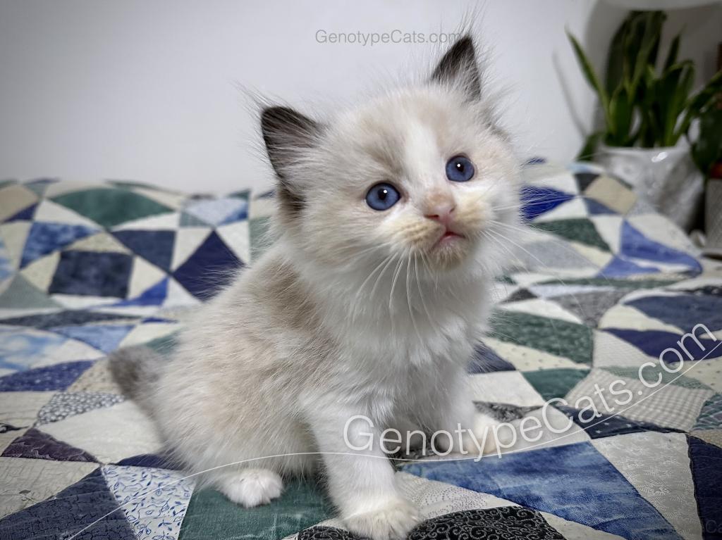 Ernie photo 18