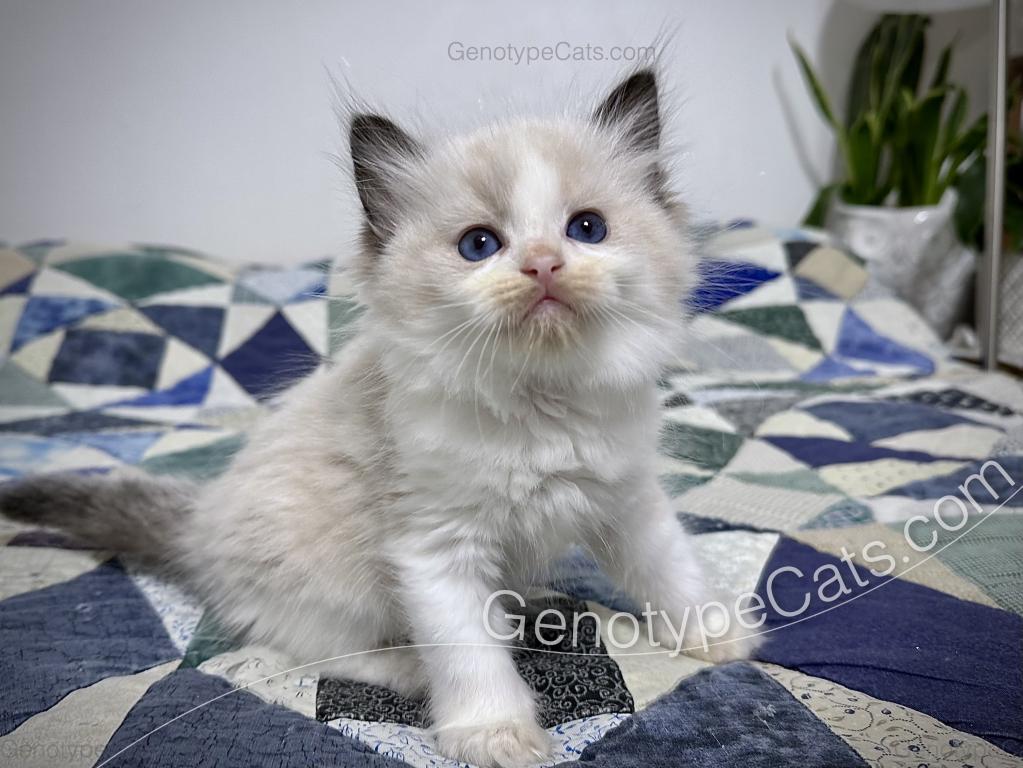 Ernie photo 36