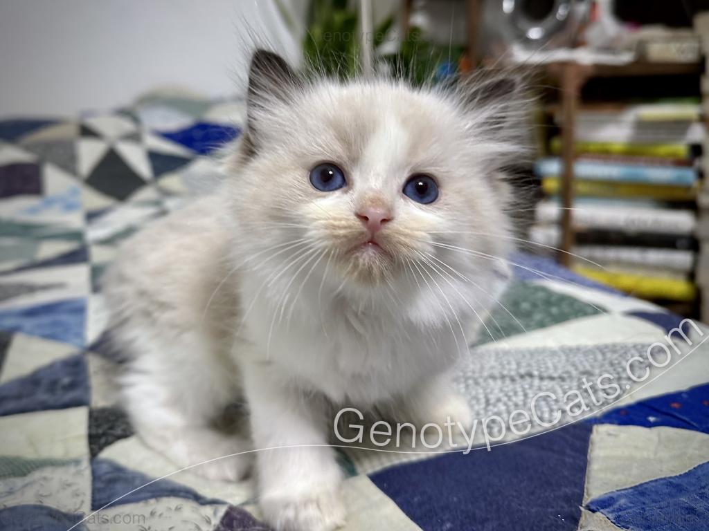 Ernie photo 42
