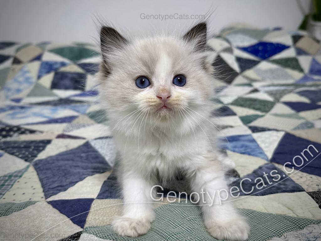Ernie photo 33