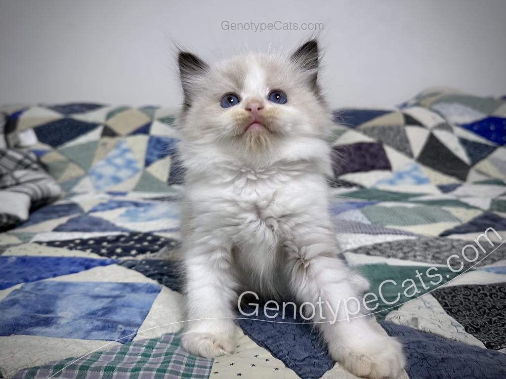 Ernie photo 5