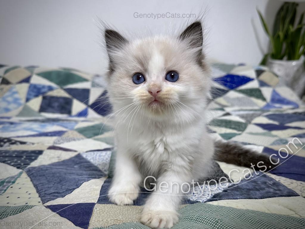 Ernie photo 13
