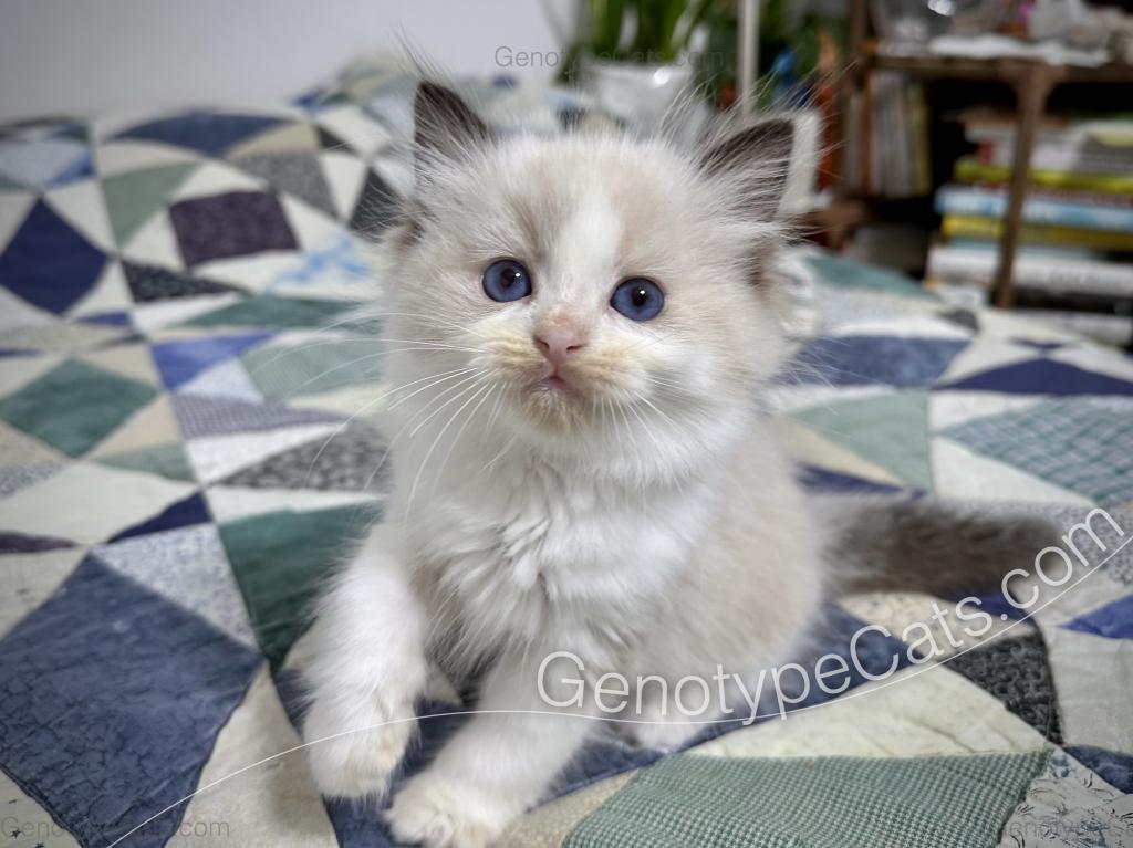 Ernie photo 7